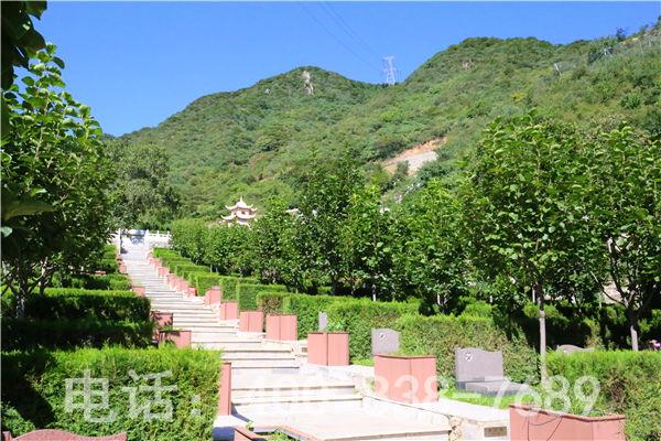 九公山公墓墓区