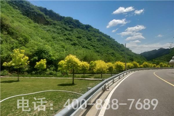 九公山长城纪念林